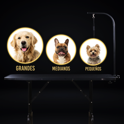 Mesa de Grooming Grande - Groomr Mesa de Grooming Grande - Groomr
