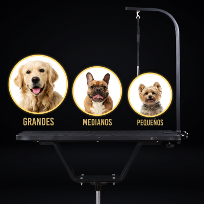 Mesa de Grooming Hidráulica - Groomr