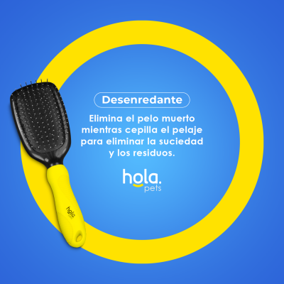 Set de Grooming en Casa - Raza Grande - Hola Pets Set de Grooming en Casa - Raza Grande - Hola Pets