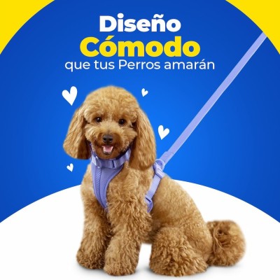 Correa Multifunción - Azul - Hola Pets Correa Multifunción - Azul - Hola Pets