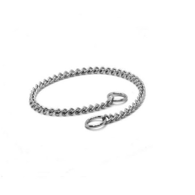 Collar y Correa M Linea Grande Colorida para Perro Animal Planet Costa Rica Collar y Correa M Linea Grande Colorida para Perro Animal Planet Costa Rica