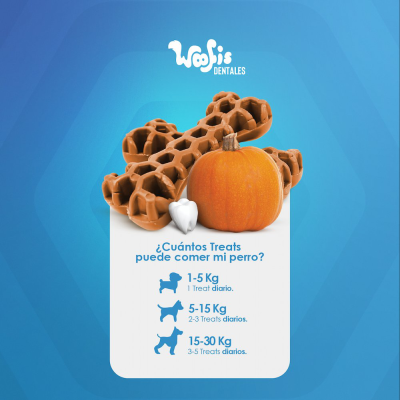 Woofis Dentales - Calabaza Woofis Dentales - Calabaza