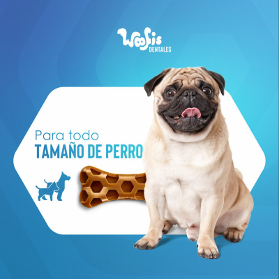 Woofis Dentales - Calabaza Woofis Dentales - Calabaza