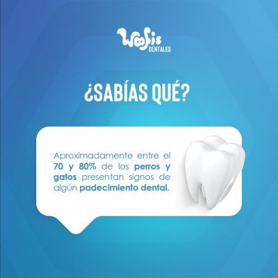 Woofis Dentales - Calabaza Woofis Dentales - Calabaza