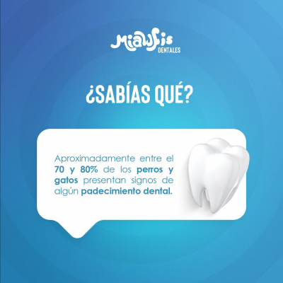 Miawfis Dentales - Pescado Miawfis Dentales - Pescado