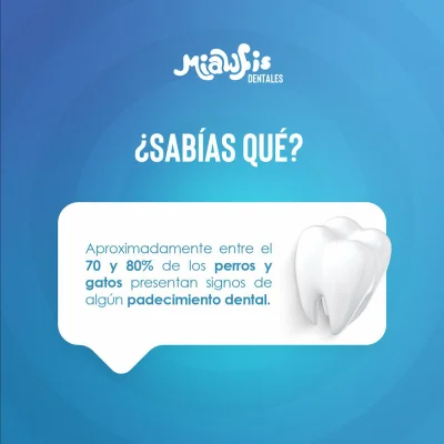 Miawfis Dentales - Pescado Miawfis Dentales - Pescado