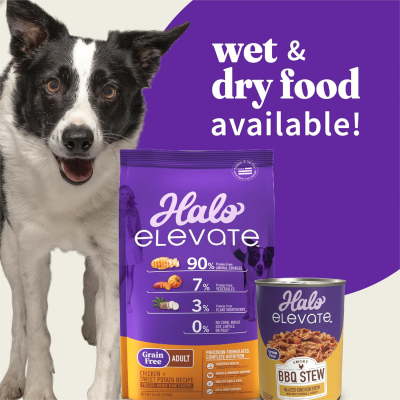Alimento Húmedo Perros Elevate Libre de Granos Estofado de Pollo con Zanahoria & Espinaca 361 Gr Alimento Húmedo Perros Elevate Libre de Granos Estofado de Pollo con Zanahoria & Espinaca 361 Gr