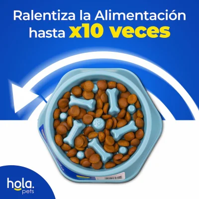 Comedero Lento Huesitos - Aquamarino Hola Pets Comedero Lento Huesitos - Aquamarino Hola Pets