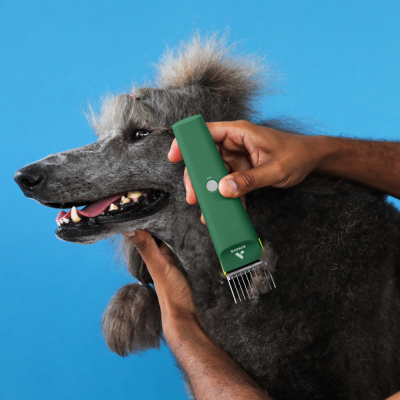 Vida Cordless - Verde - Andis Profesional Vida Cordless - Verde - Andis Profesional