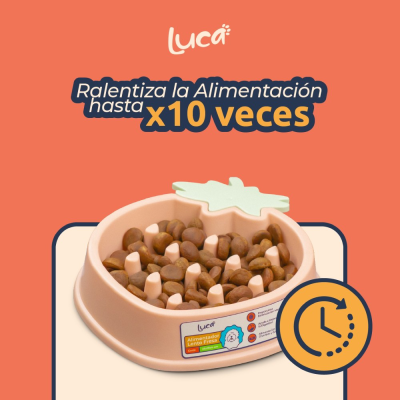 Comedero Lento Fresa - Coral - Luca Comedero Lento Fresa - Coral - Luca