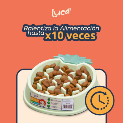 Comedero Lento Piña - Menta - Luca Comedero Lento Piña - Menta - Luca
