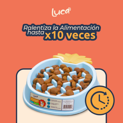 Comedero Lento Piña - Celeste - Luca Comedero Lento Piña - Celeste - Luca