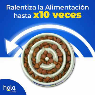 Comedero Lento Espiral - Verde Claro - Hola Pets Comedero Lento Espiral - Verde Claro - Hola Pets