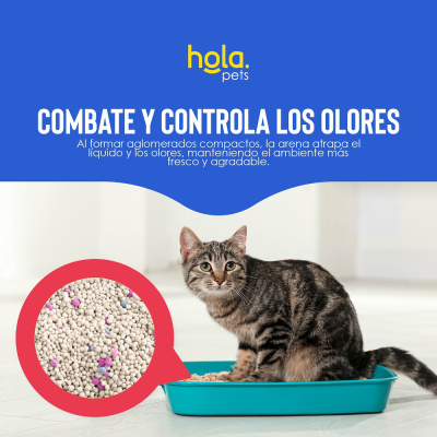 Arena para Gato 4kg - Rosa - Hola Pets Arena para Gato 4kg - Rosa - Hola Pets