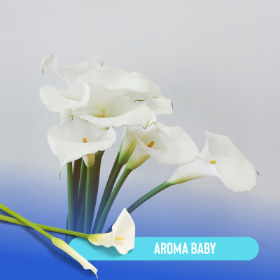 Arena para Gato 4kg - Baby Powder - Hola Pets Arena para Gato 4kg - Baby Powder - Hola Pets