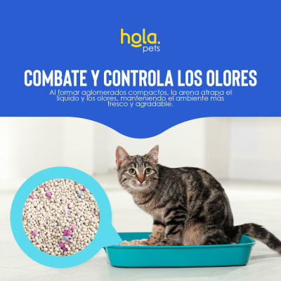 Arena para Gato 4kg - Baby Powder - Hola Pets Arena para Gato 4kg - Baby Powder - Hola Pets
