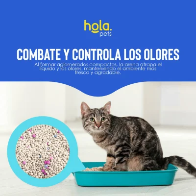 Arena para Gato 4kg - Baby Powder - Hola Pets Arena para Gato 4kg - Baby Powder - Hola Pets