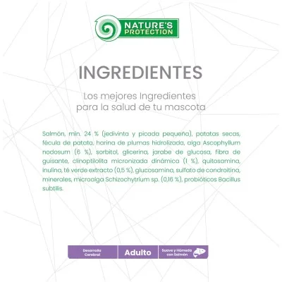 Desarrollo Cerebral - Snack Suplemental Natures Protection Desarrollo Cerebral - Snack Suplemental Natures Protection
