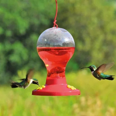 Comedero Bulbo para Colibrí Perky Pet Comedero Bulbo para Colibrí Perky Pet