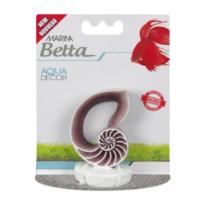 Adorno Sea Shell Betta Marina Adorno Sea Shell Betta Marina