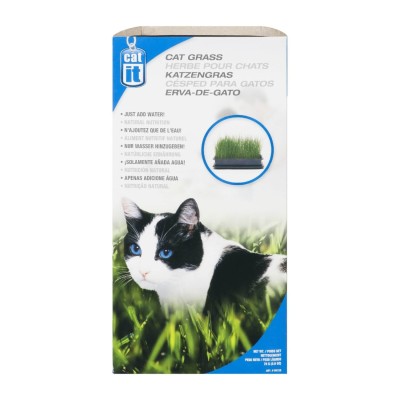 Zacate Comestible para Gato Cat It Costa Rica Zacate Comestible para Gato Cat It Costa Rica