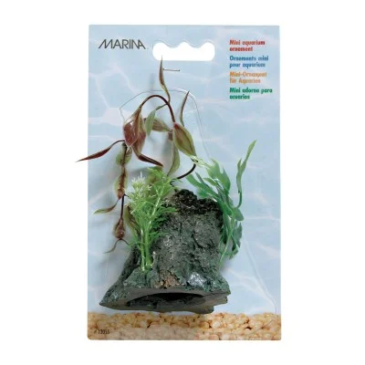 Adorno de tronco con plantas pequeño Marina Costa Rica Adorno de tronco con plantas pequeño Marina Costa Rica