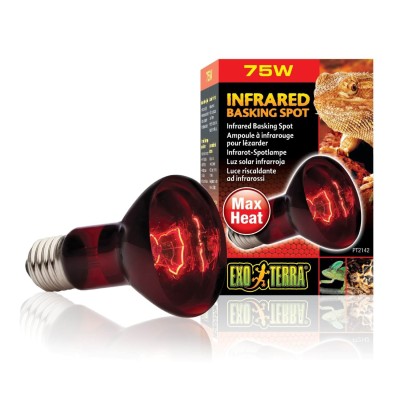 Bombillo Infrarrojo Basking R20 75 w Exo Terra Bombillo Infrarrojo Basking R20 75 w Exo Terra