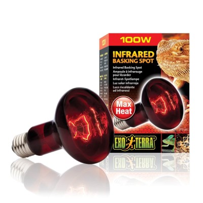 Bombillo Infrarrojo Basking R25 100 w Exo Terra Bombillo Infrarrojo Basking R25 100 w Exo Terra