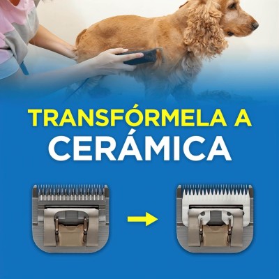 Afilado y Transformación a Cuchilla de Cerámica Afilado y Transformación a Cuchilla de Cerámica