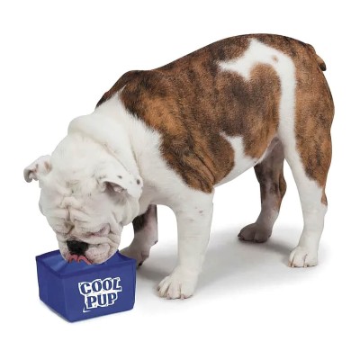 Plato Enfriador Portátil Cool Pup Plato Enfriador Portátil Cool Pup