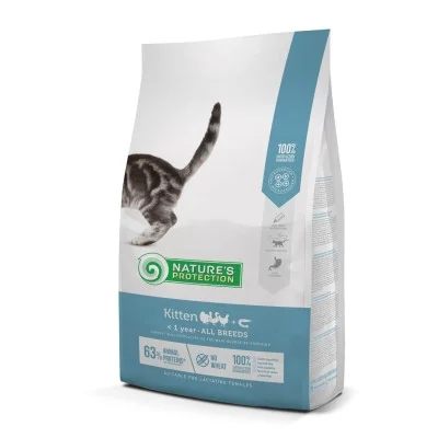 Kitten - Natures Protection Kitten - Natures Protection