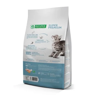 Kitten - Natures Protection Kitten - Natures Protection