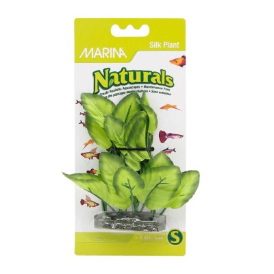Planta de Seda en Primer Plano - Verde - Marina Planta de Seda en Primer Plano - Verde - Marina