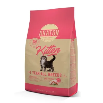 Kitten - Araton Kitten - Araton