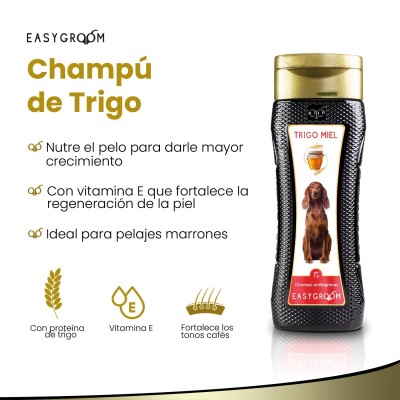Champú Para Perro Champú Para Perro