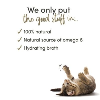 Alimento Húmedo De Atun 70 g - Applaws Natural