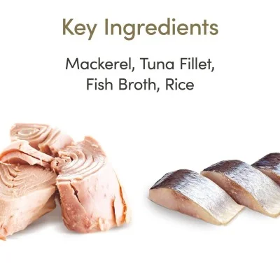 Alimento Húmedo De Pescado Azul 70 g - Applaws Natural Alimento Húmedo De Pescado Azul 70 g - Applaws Natural