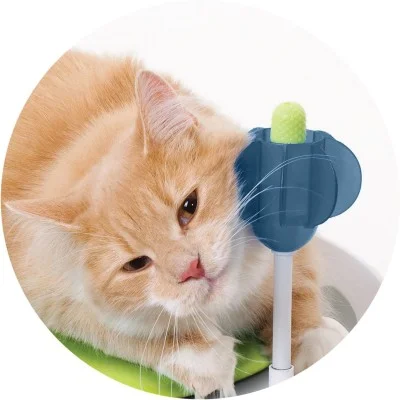 Juego excavador para gato 2.0 Cat It Costa Rica Juego excavador para gato 2.0 Cat It Costa Rica