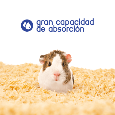 PACK AHORRO - Burucha de Pino Natural para Roedores - Hola Pets Costa Rica PACK AHORRO - Burucha de Pino Natural para Roedores - Hola Pets Costa Rica