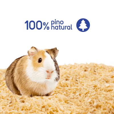 Burucha de Pino Natural para Roedores - Hola Pets Costa Rica Burucha de Pino Natural para Roedores - Hola Pets Costa Rica