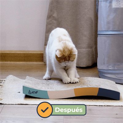 Rascador con Catnip - Forma W - Luca Rascador con Catnip - Forma W - Luca