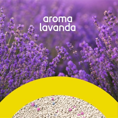 Arena para Gato 4kg - Lavanda - Hola Pets Arena para Gato 4kg - Lavanda - Hola Pets