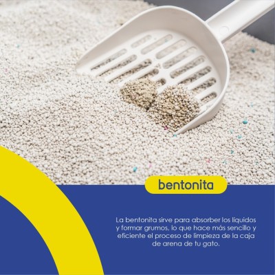 Arena para Gato 4kg - Lavanda - Hola Pets Arena para Gato 4kg - Lavanda - Hola Pets
