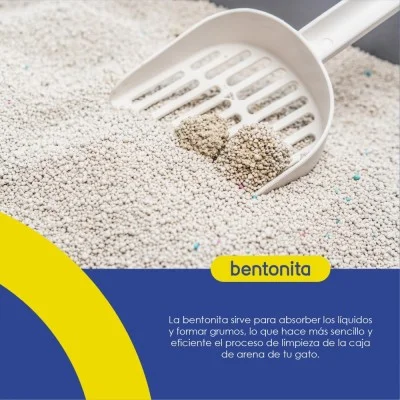 Arena para Gato 4kg - Lavanda - Hola Pets Arena para Gato 4kg - Lavanda - Hola Pets