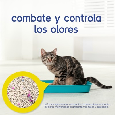 Arena para Gato 4kg - Sin Aroma - Hola Pets Arena para Gato 4kg - Sin Aroma - Hola Pets
