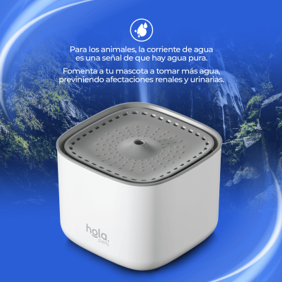 Fuente de Agua para Gatos y Perros - 3L Blanca - Hola Pets Fuente de Agua para Gatos y Perros - 3L Blanca - Hola Pets
