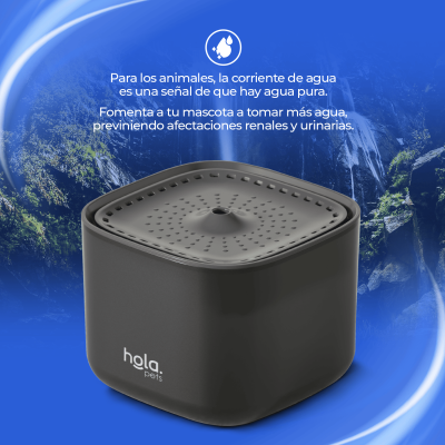 Fuente de Agua para Gatos y Perros - 3L Negra - Hola Pets Fuente de Agua para Gatos y Perros - 3L Negra - Hola Pets