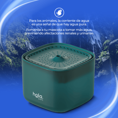Fuente de Agua para Gatos y Perros - 3L Verde - Hola Pets Fuente de Agua para Gatos y Perros - 3L Verde - Hola Pets