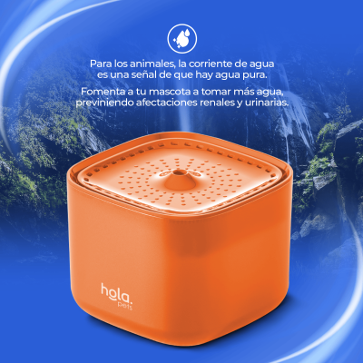 Fuente de Agua para Gatos y Perros - 3L Blanca - Hola Pets Fuente de Agua para Gatos y Perros - 3L Blanca - Hola Pets