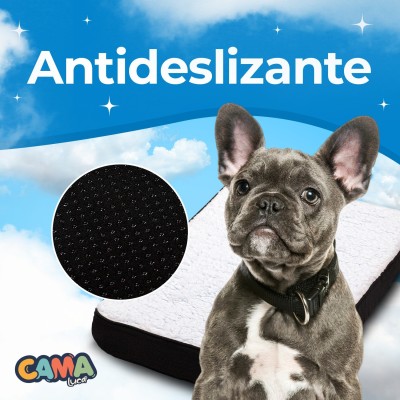 Cama Ortopédica - Blanca Small - Luca Cama Ortopédica - Blanca Small - Luca